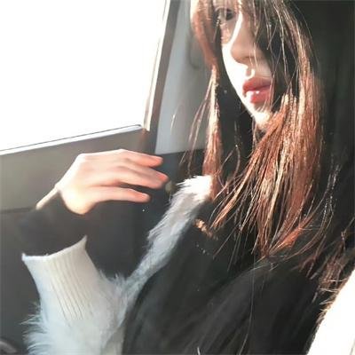 幸运狗狗来造访